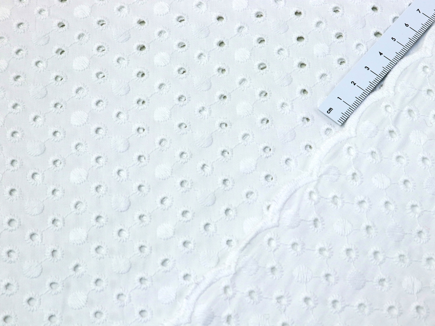 BAUMWOLLE Embroidery Stickerei kleine Kreise beidseitige Bogenkante auf WEIß