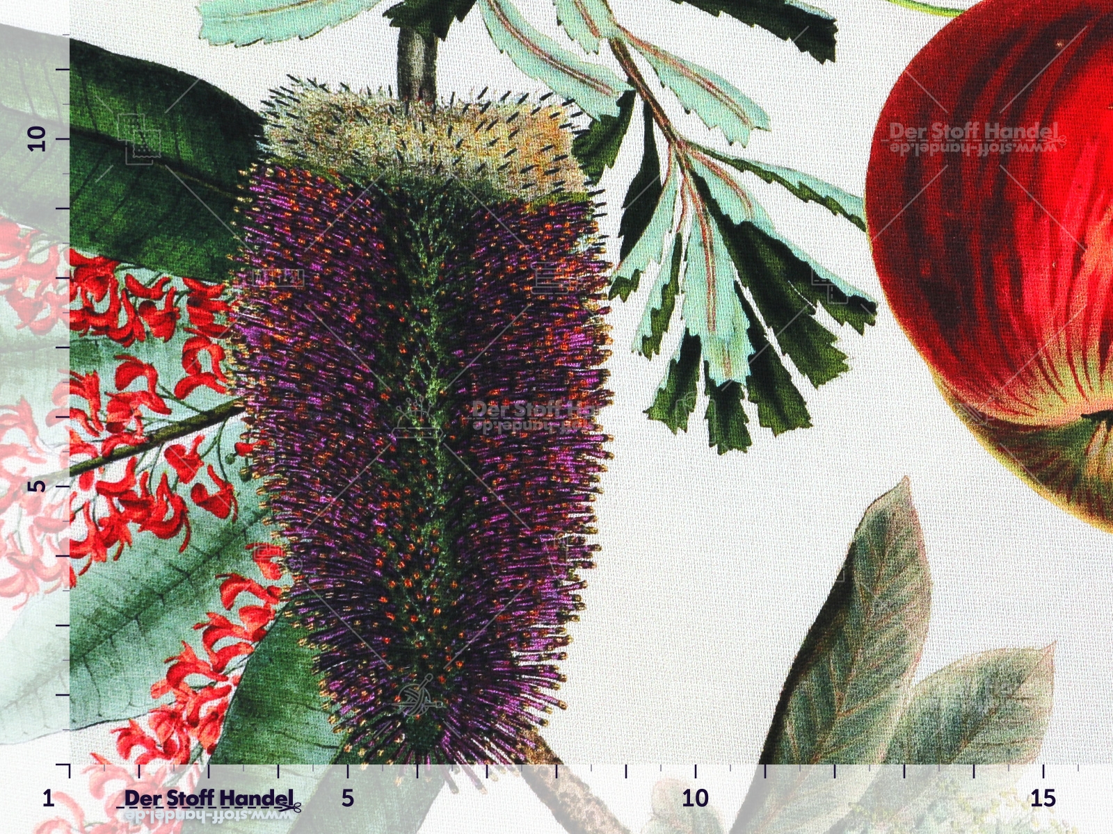 BAUMWOLLSATIN ► Pinella ◄ Herbstpflanzen GRÜN ROT WEISS